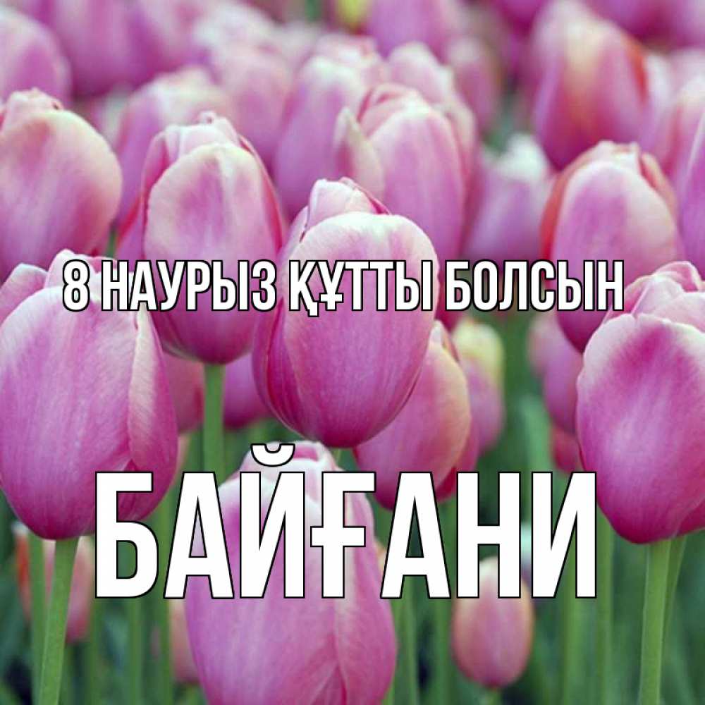 Күн сайын ашық хат с именем, Байғани 8 наурыз құтты болсын на международный женский день 3 Онлайн тегін жүктеп алу тілектері бар керемет карта 