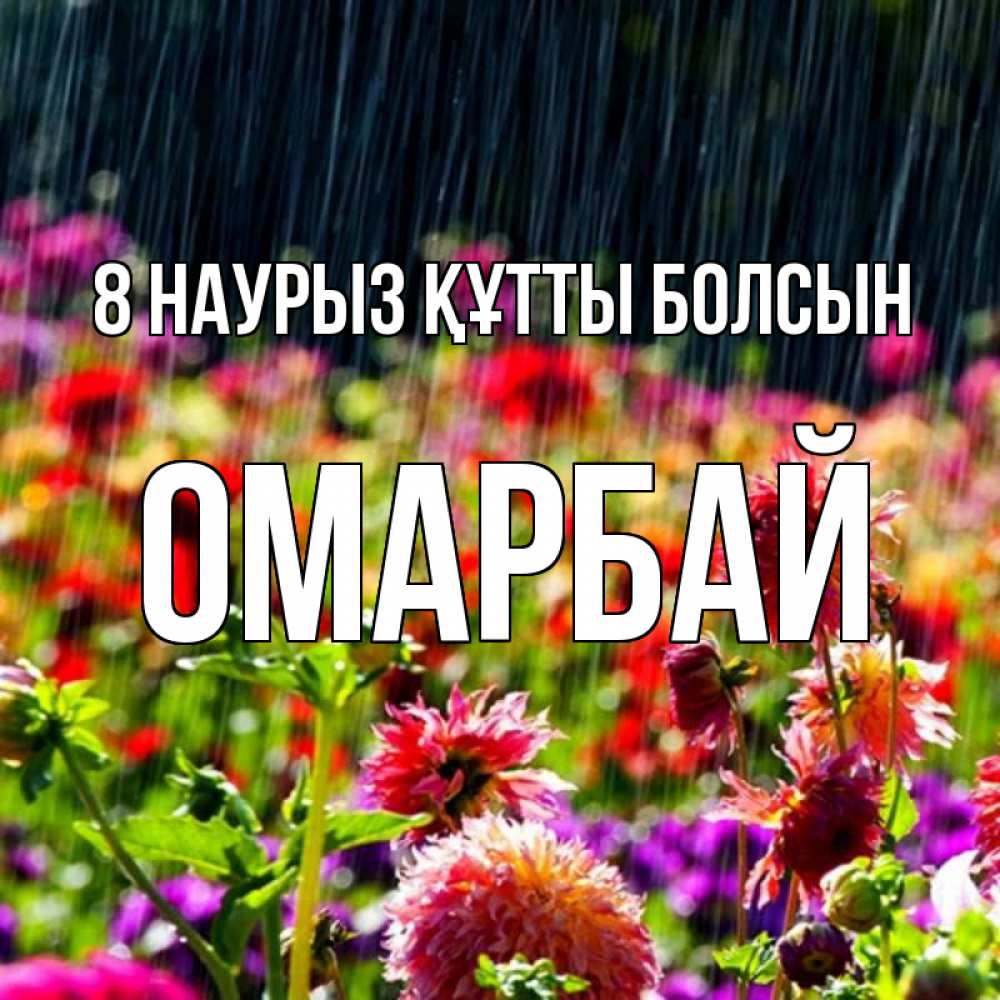 Күн сайын ашық хат с именем, ОМАРБАЙ 8 наурыз құтты болсын цветы под дождиком к международному женскому дню Онлайн тегін жүктеп алу тілектері бар керемет карта 