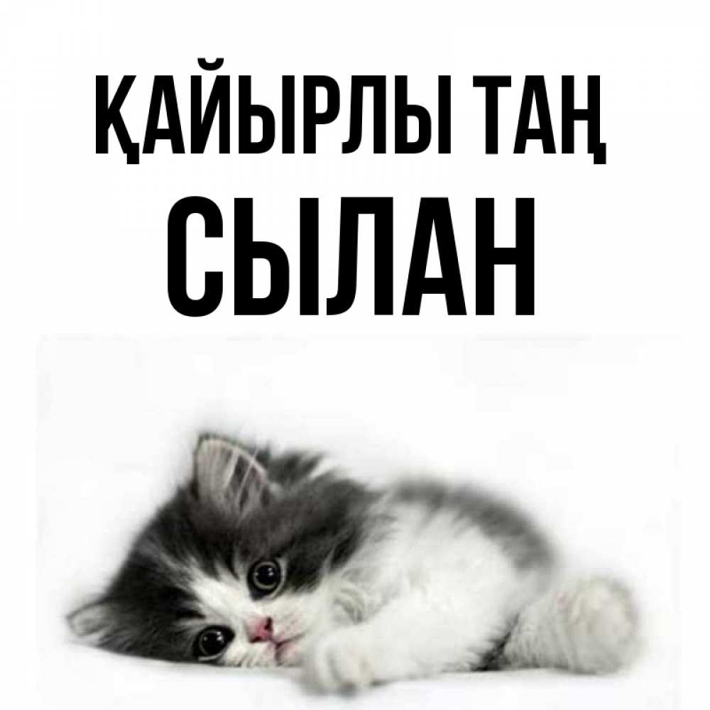 Күн сайын ашық хат с именем, СЫЛАН Қайырлы таң кот лапки Онлайн тегін жүктеп алу тілектері бар керемет карта 