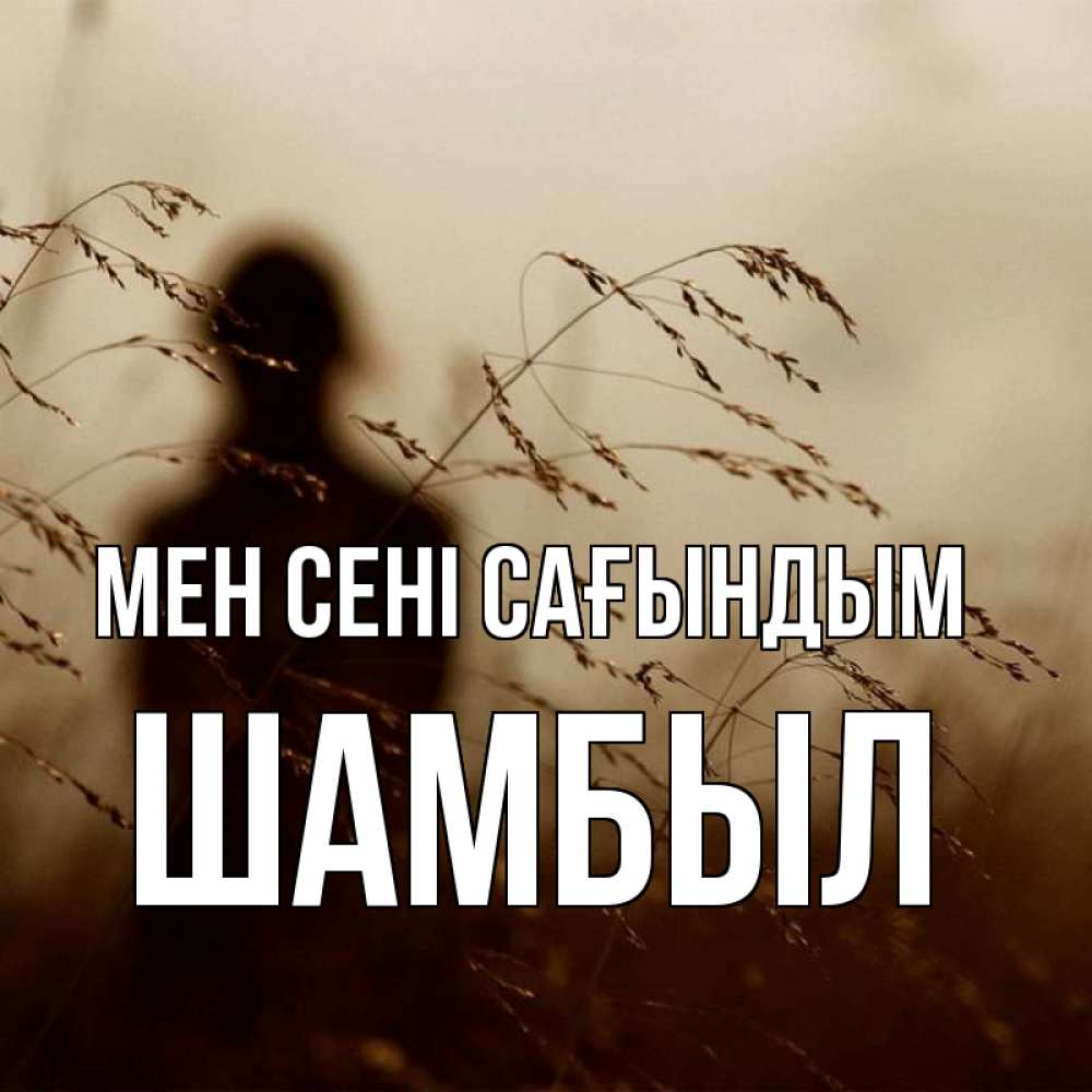 Күн сайын ашық хат с именем, ШАМБЫЛ Мен сені сағындым силуэт девушки Онлайн тегін жүктеп алу тілектері бар керемет карта 