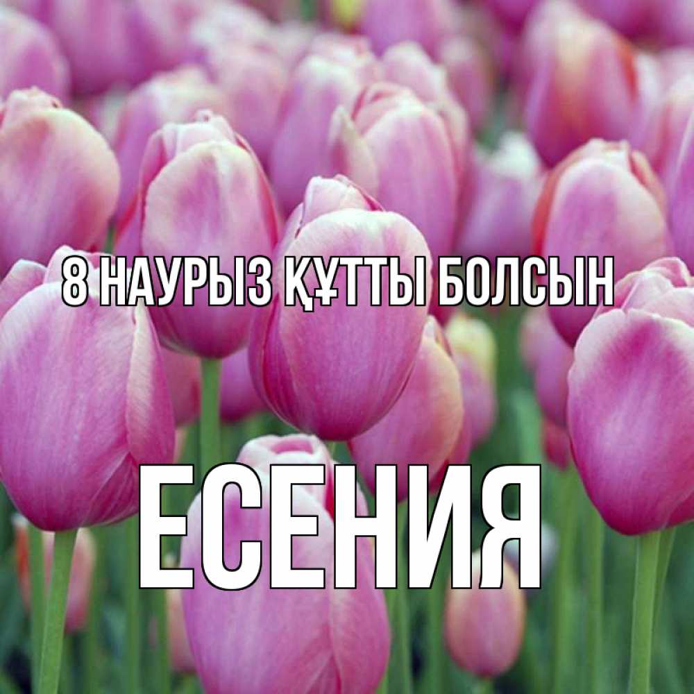 Күн сайын ашық хат с именем, Есения 8 наурыз құтты болсын на международный женский день 3 Онлайн тегін жүктеп алу тілектері бар керемет карта 
