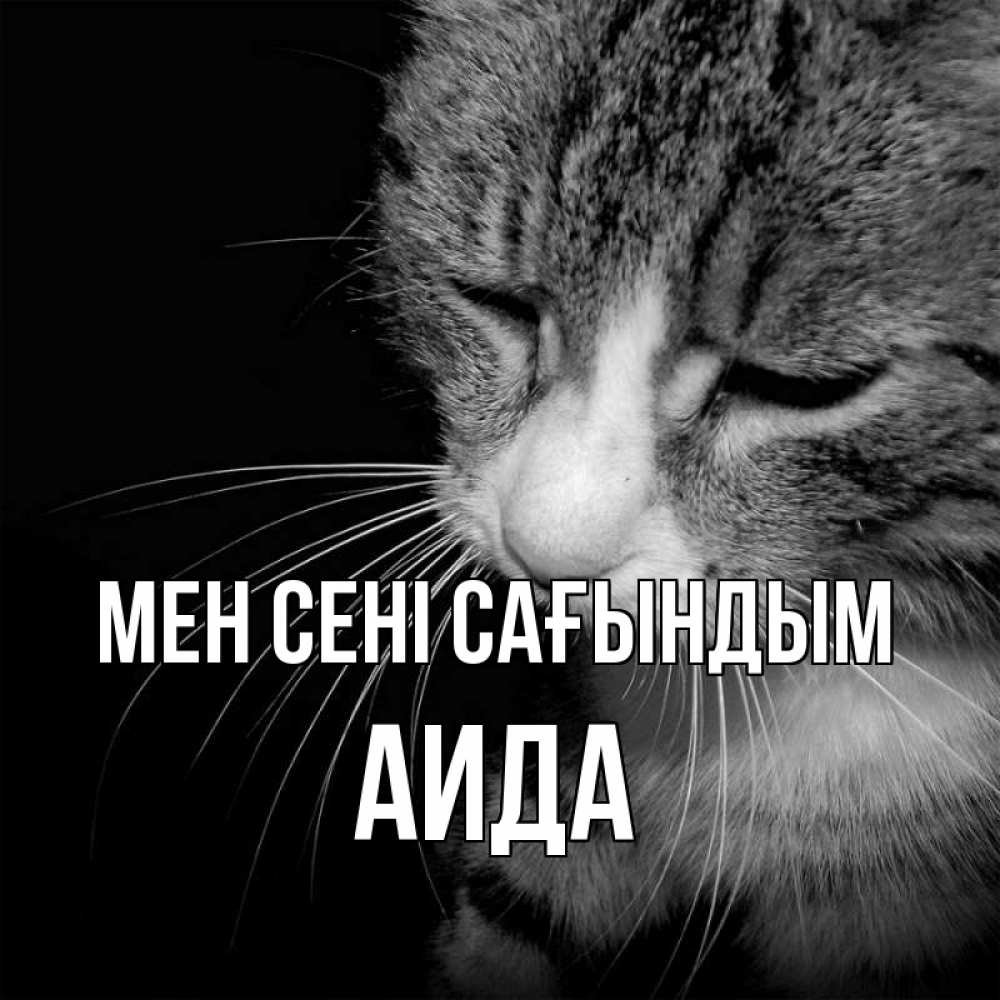 Күн сайын ашық хат с именем, АИДА Мен сені сағындым мне скучно Онлайн тегін жүктеп алу тілектері бар керемет карта 