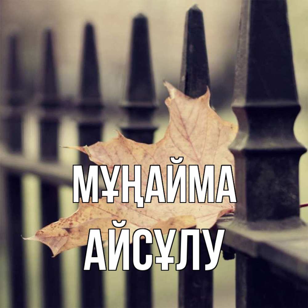 Күн сайын ашық хат с именем, АЙСҰЛУ Мұңайма лист клена Онлайн тегін жүктеп алу тілектері бар керемет карта 