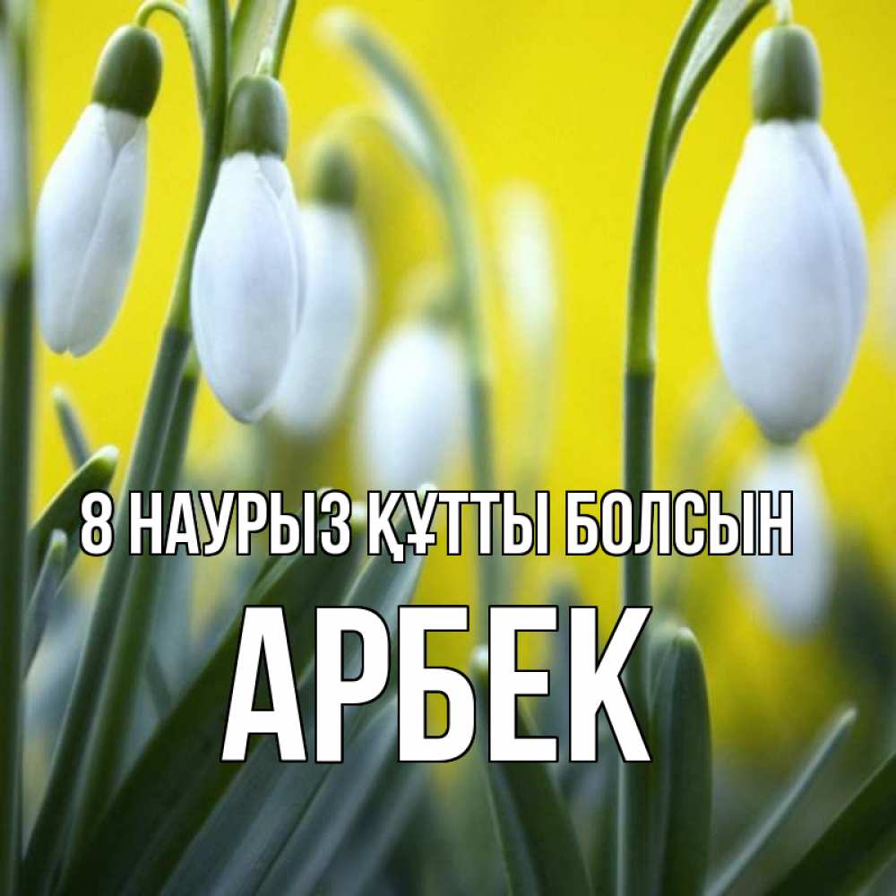 Күн сайын ашық хат с именем, Арбек 8 наурыз құтты болсын весенние цветы Онлайн тегін жүктеп алу тілектері бар керемет карта 