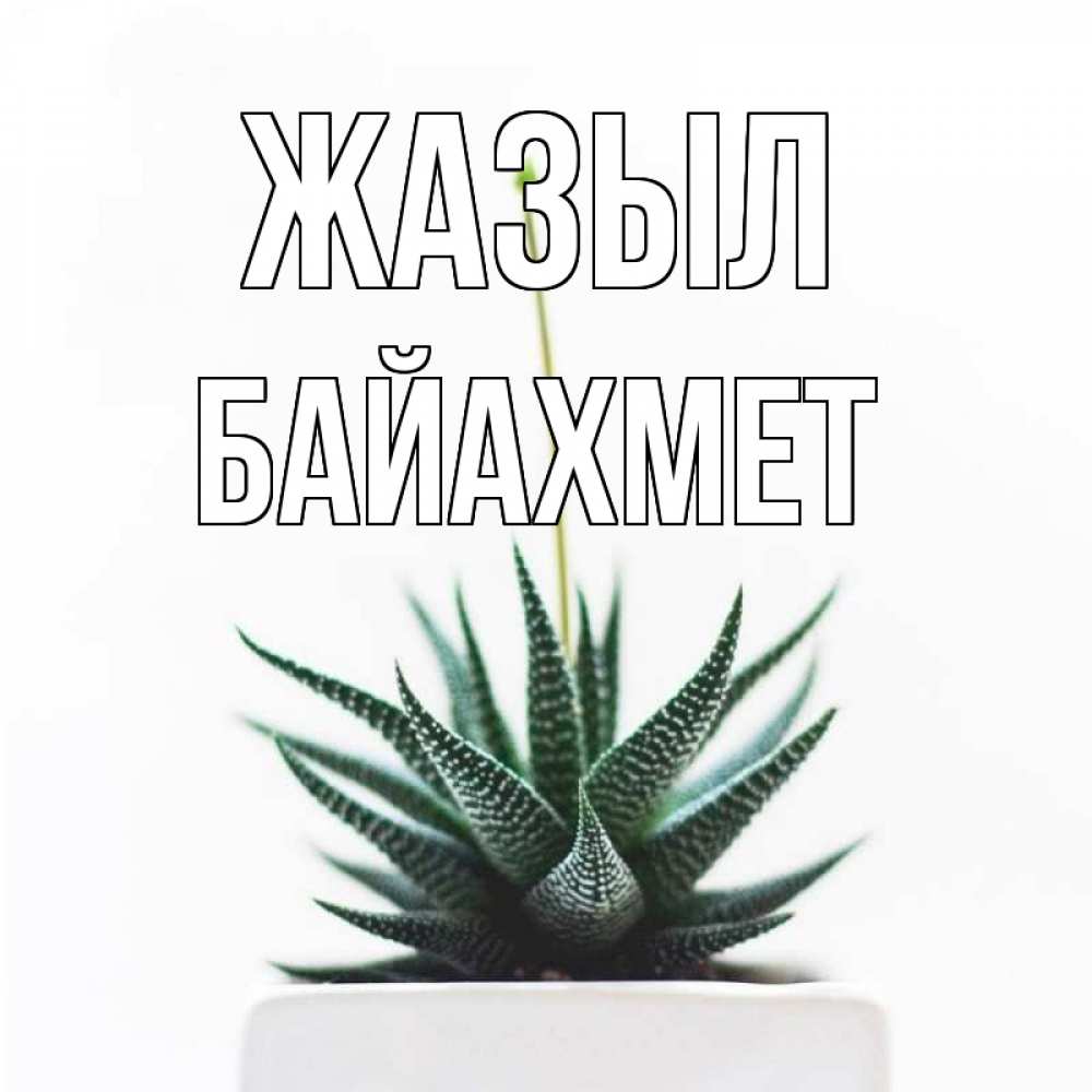 Күн сайын ашық хат с именем, Байахмет Жазыл короче это непонятная колючка Онлайн тегін жүктеп алу тілектері бар керемет карта 