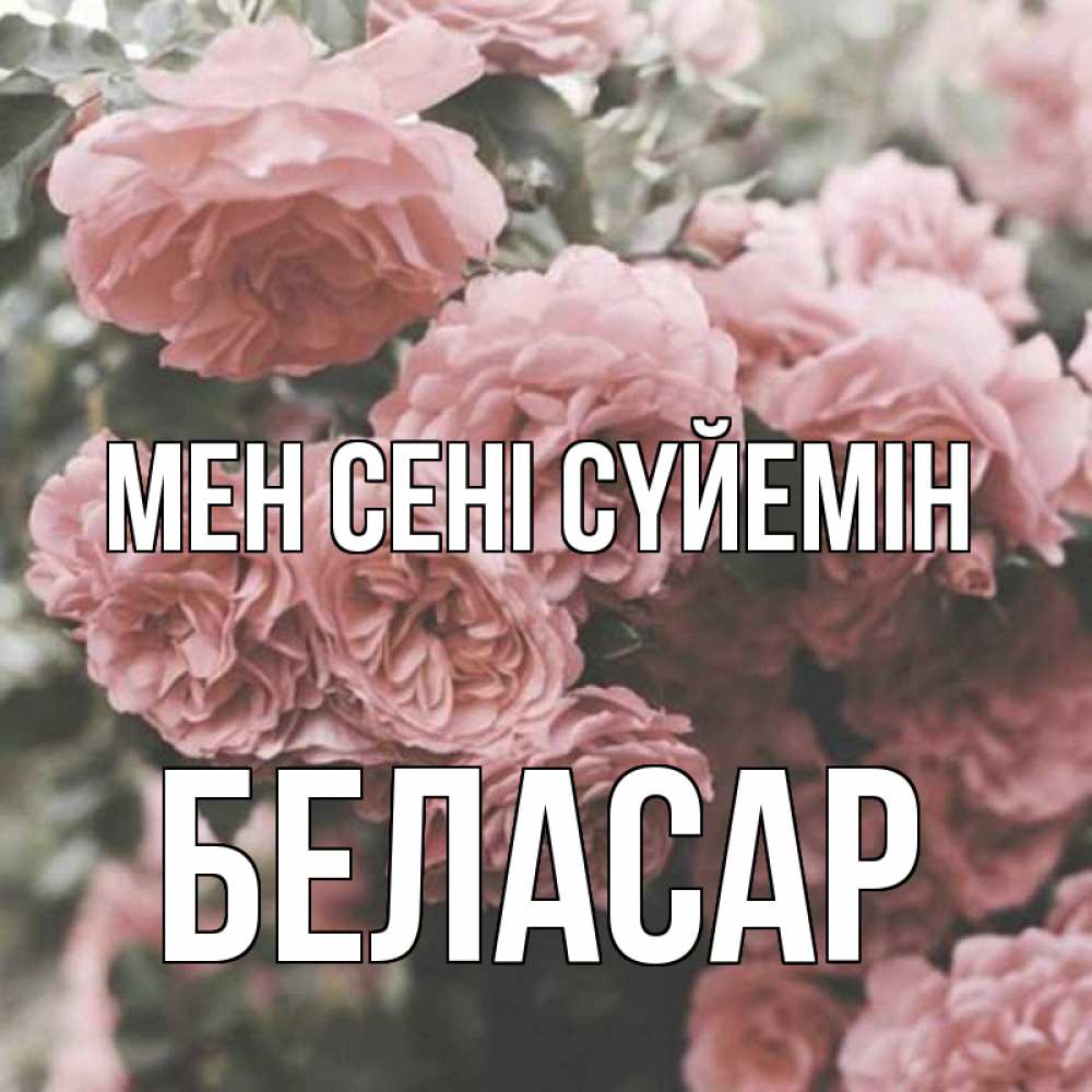 Күн сайын ашық хат с именем, Беласар Мен сені сүйемін розы 3 Онлайн тегін жүктеп алу тілектері бар керемет карта 