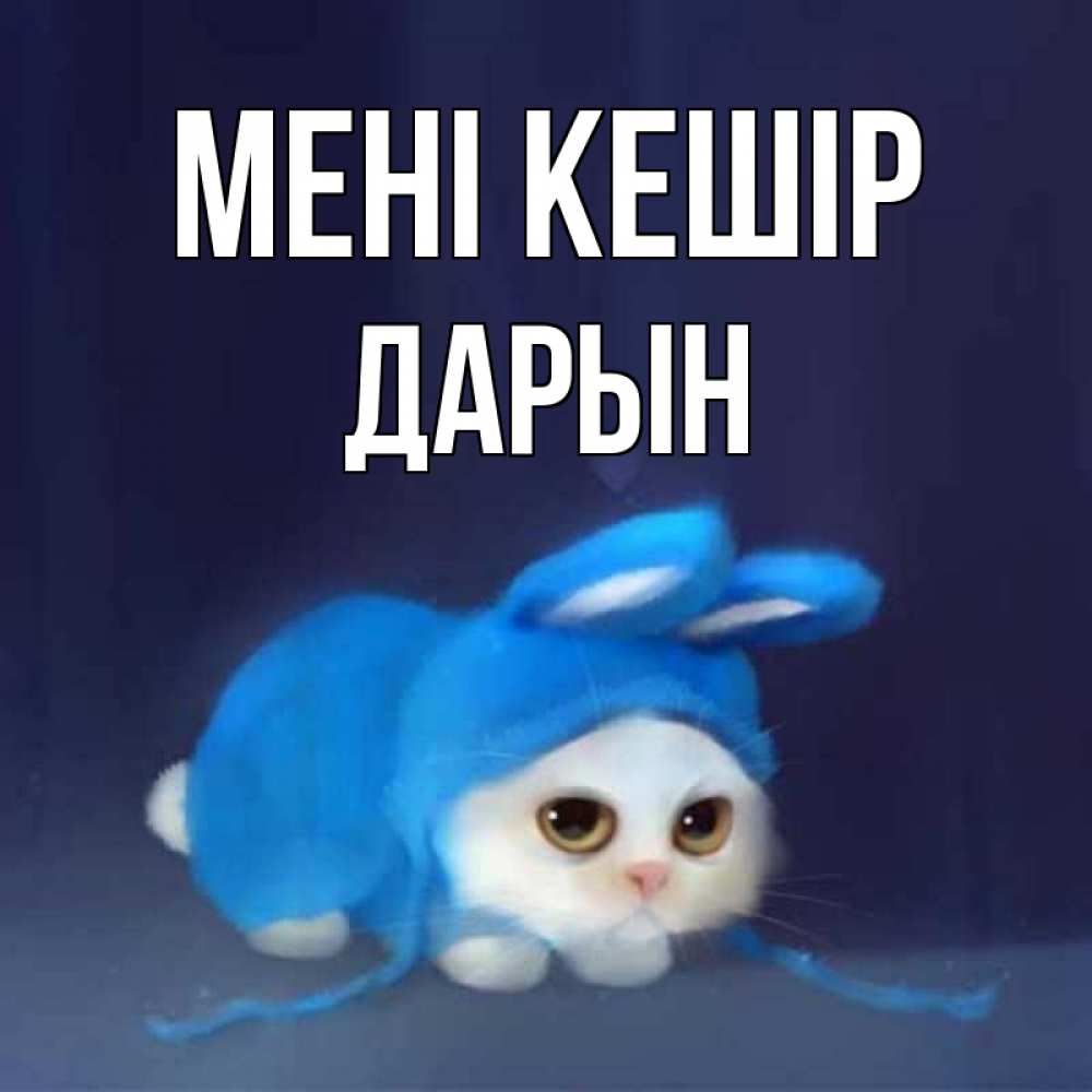 Күн сайын ашық хат с именем, Дарын Мені кешір невинный котозай просит прощения Онлайн тегін жүктеп алу тілектері бар керемет карта 