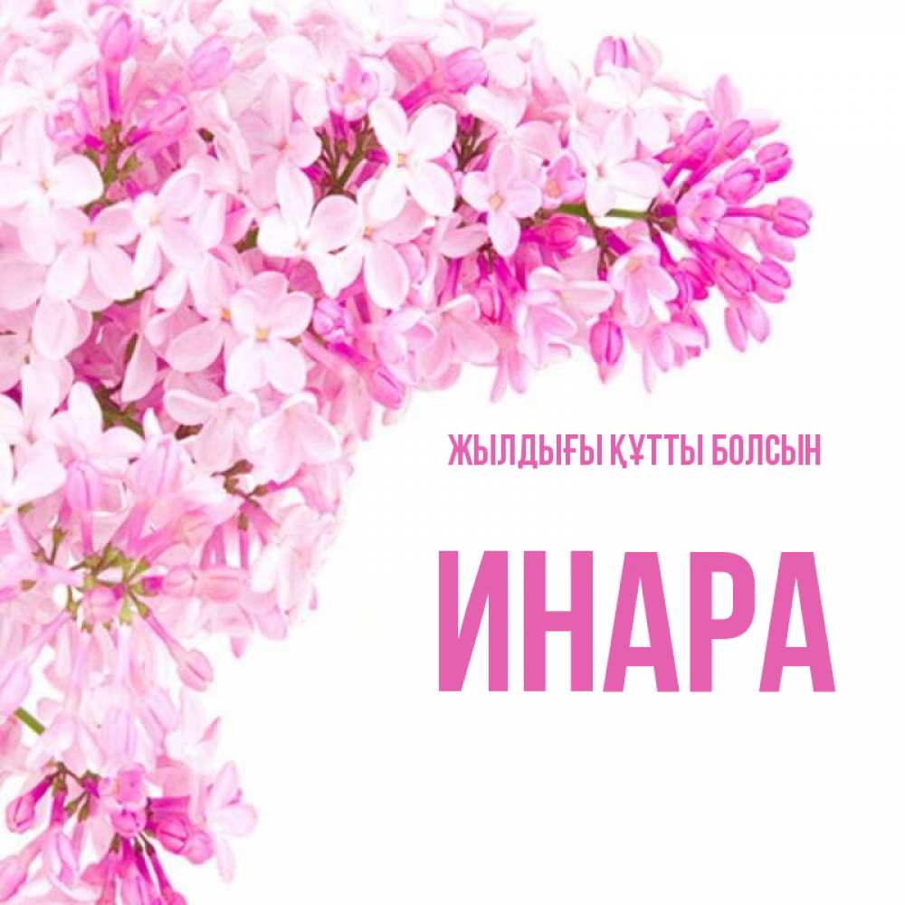 Күн сайын ашық хат с именем, Инара Жылдығы құтты болсын Сирень на белом фоне Онлайн тегін жүктеп алу тілектері бар керемет карта 