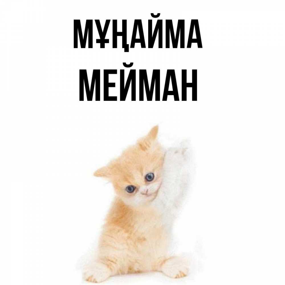 Күн сайын ашық хат с именем, МЕЙМАН Мұңайма просящий кот Онлайн тегін жүктеп алу тілектері бар керемет карта 