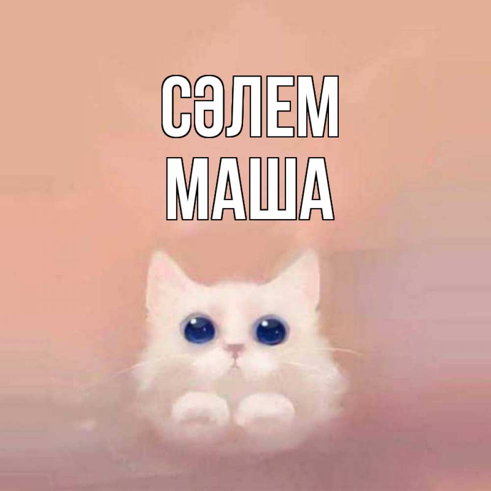 Күн сайын ашық хат с именем, Маша Сәлем котик белый в полете Онлайн тегін жүктеп алу тілектері бар керемет карта 