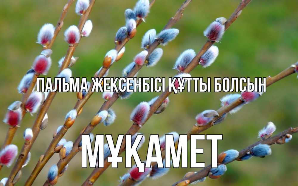 Күн сайын ашық хат с именем, МҰҚАМЕТ Пальма жексенбісі құтты болсын верба Онлайн тегін жүктеп алу тілектері бар керемет карта 
