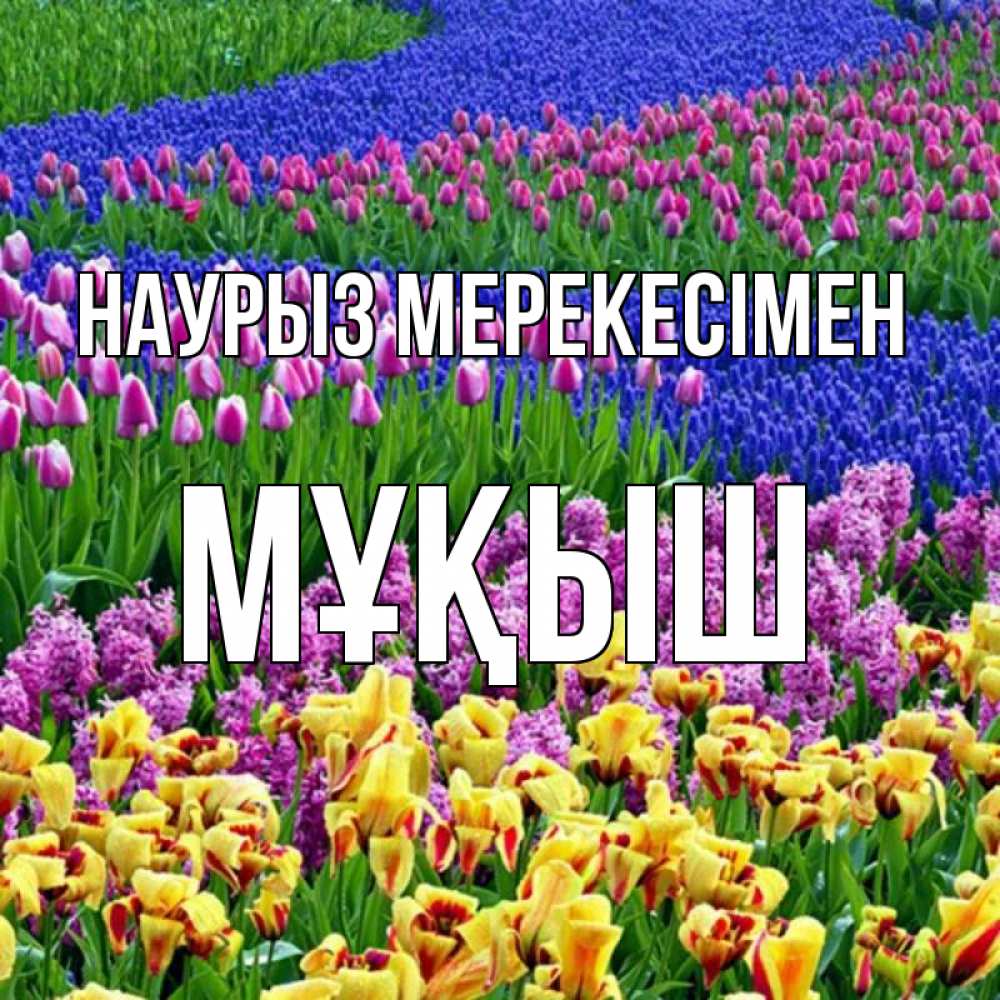 Күн сайын ашық хат с именем, Мұқыш Наурыз мерекесімен цветы Онлайн тегін жүктеп алу тілектері бар керемет карта 