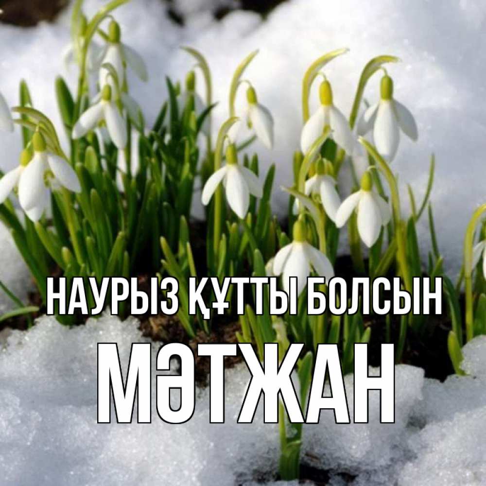 Күн сайын ашық хат с именем, МӘТЖАН Наурыз құтты болсын цветы весенние Онлайн тегін жүктеп алу тілектері бар керемет карта 