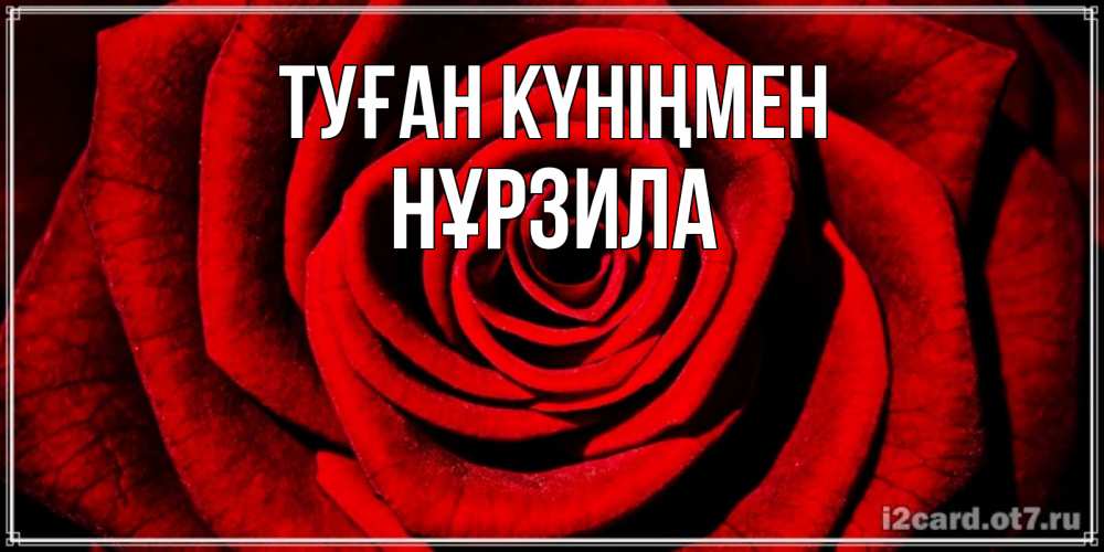 Күн сайын ашық хат с именем, НҰРЗИЛА Туған күніңмен алая роза Онлайн тегін жүктеп алу тілектері бар керемет карта 