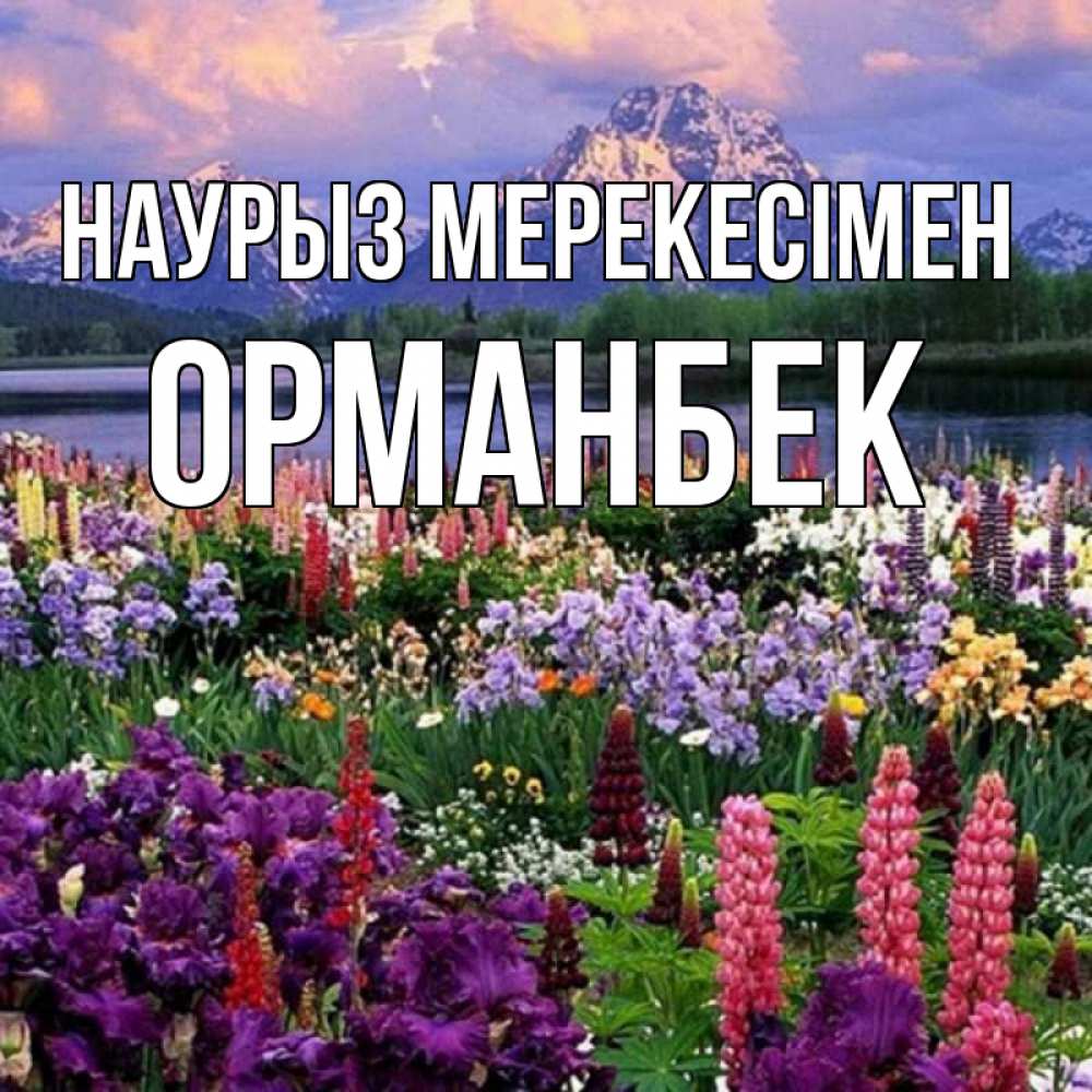 Күн сайын ашық хат с именем, ОРМАНБЕК Наурыз мерекесімен праздник весны наурыз Онлайн тегін жүктеп алу тілектері бар керемет карта 