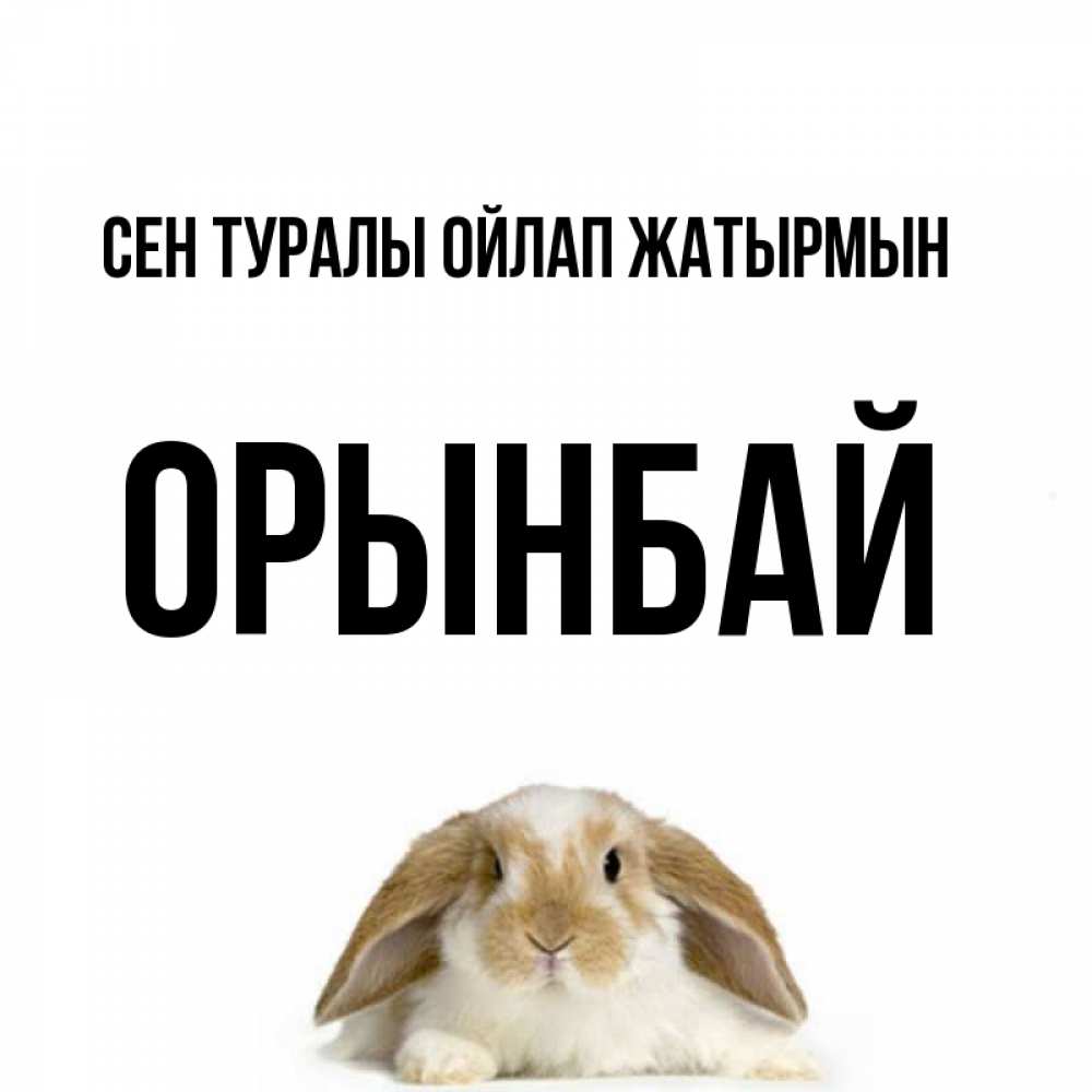 Күн сайын ашық хат с именем, ОРЫНБАЙ Сен туралы ойлап жатырмын подписать своими руками онлайн Онлайн тегін жүктеп алу тілектері бар керемет карта 