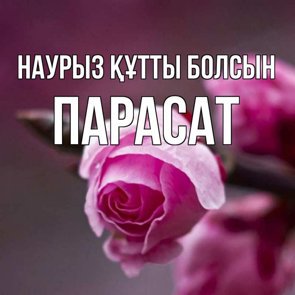 Күн сайын ашық хат с именем, ПАРАСАТ Наурыз құтты болсын весна Онлайн тегін жүктеп алу тілектері бар керемет карта 