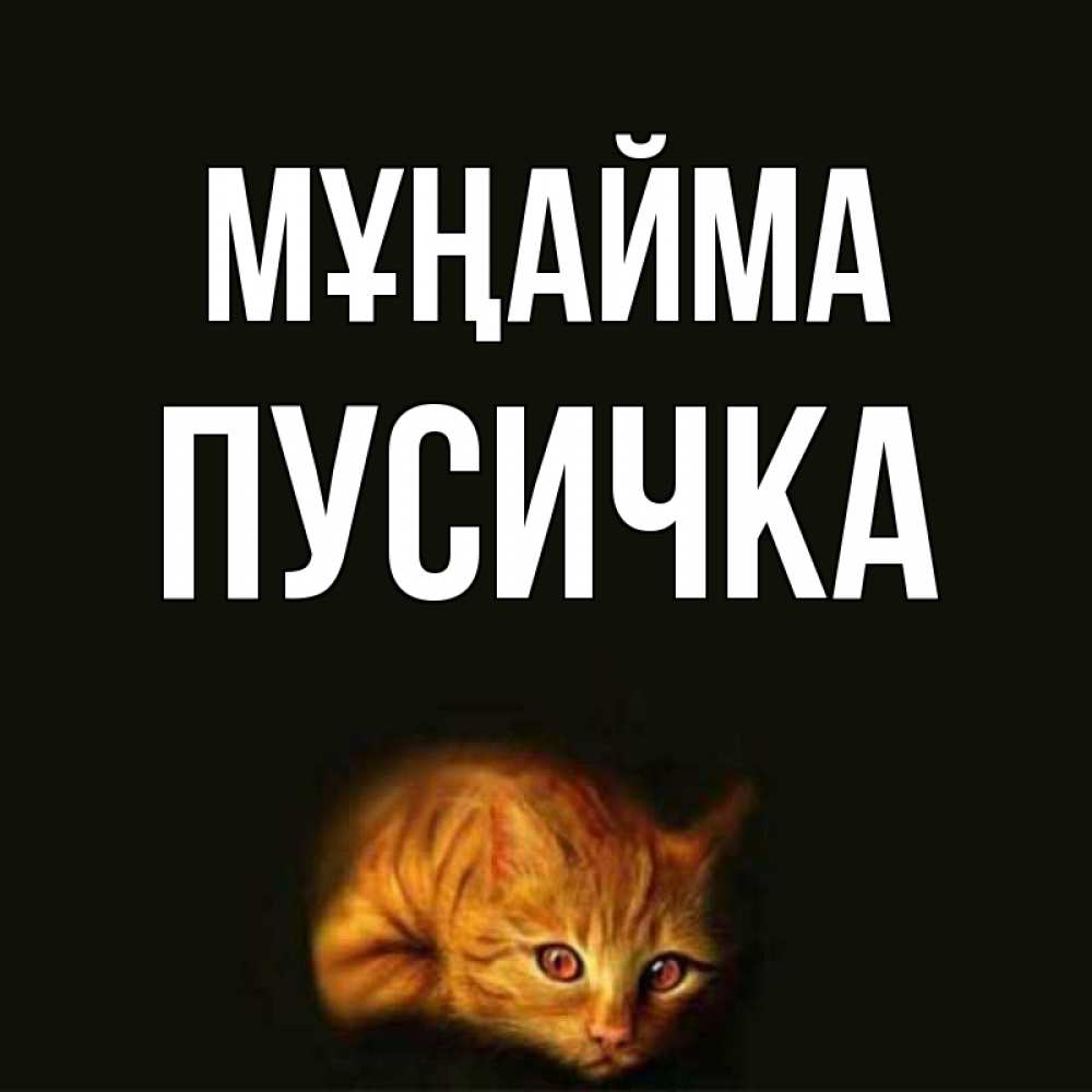 Күн сайын ашық хат с именем, Пусичка Мұңайма лежащий кот в темноте Онлайн тегін жүктеп алу тілектері бар керемет карта 