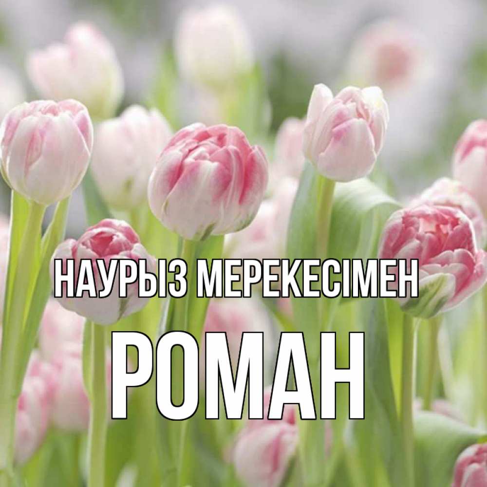 Күн сайын ашық хат с именем, Роман Наурыз мерекесімен цветы Онлайн тегін жүктеп алу тілектері бар керемет карта 