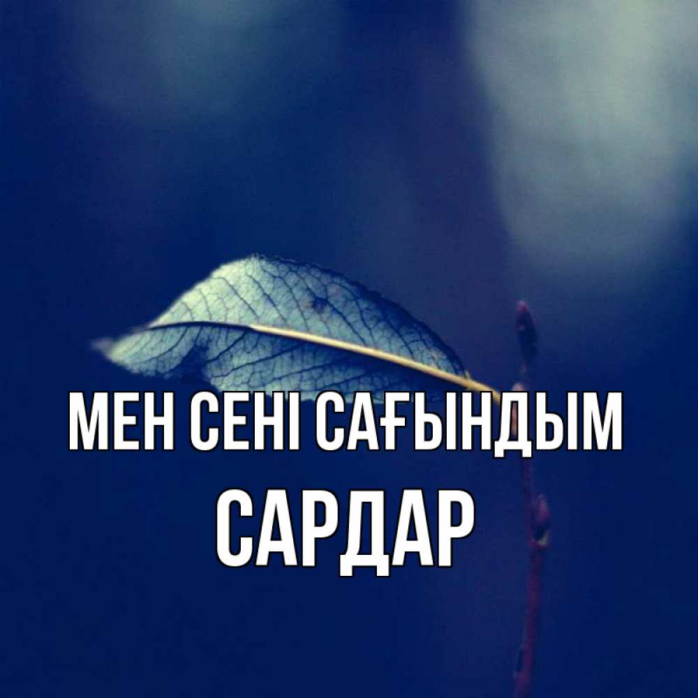 Күн сайын ашық хат с именем, САРДАР Мен сені сағындым одна ветка 1 Онлайн тегін жүктеп алу тілектері бар керемет карта 