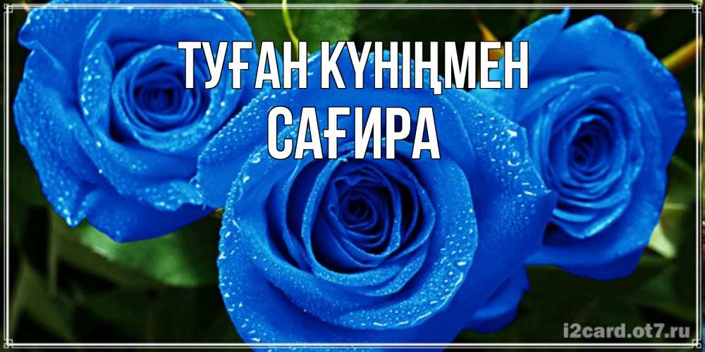 Күн сайын ашық хат с именем, САҒИРА Туған күніңмен розы с синим цветом Онлайн тегін жүктеп алу тілектері бар керемет карта 