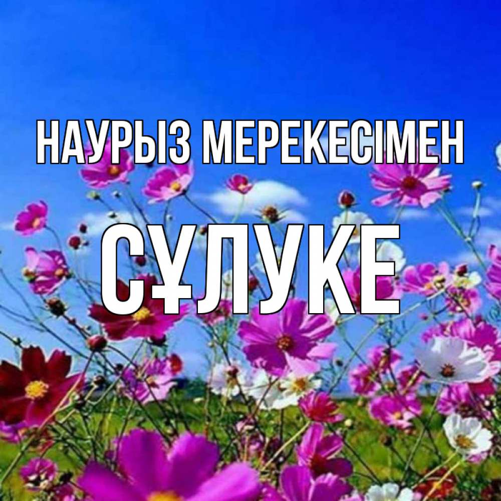 Күн сайын ашық хат с именем, СҰЛУКЕ Наурыз мерекесімен цветы Онлайн тегін жүктеп алу тілектері бар керемет карта 
