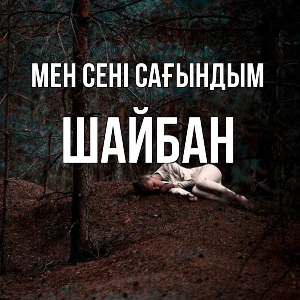 Күн сайын ашық хат с именем, ШАЙБАН Мен сені сағындым очень Онлайн тегін жүктеп алу тілектері бар керемет карта 