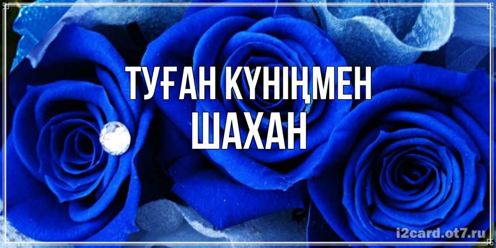 Күн сайын ашық хат с именем, ШАХАН Туған күніңмен синие розы в росе Онлайн тегін жүктеп алу тілектері бар керемет карта 