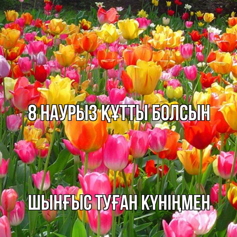 Картинка 8 наурыз құтты болсын, ШЫНҒЫС! ТУҒАН КҮНІҢМЕН!
