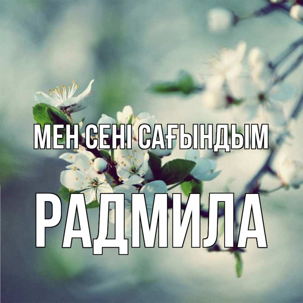 Күн сайын ашық хат с именем, Радмила Мен сені сағындым весна Онлайн тегін жүктеп алу тілектері бар керемет карта 
