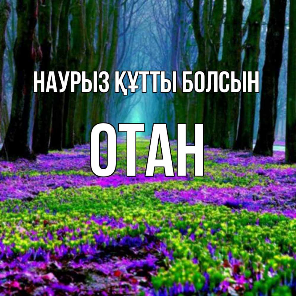 Күн сайын ашық хат с именем, ОТАН Наурыз құтты болсын фиолетовые цветы в лесу 1 Онлайн тегін жүктеп алу тілектері бар керемет карта 