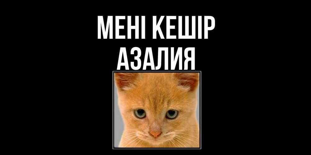 Күн сайын ашық хат с именем, Азалия Мені кешір рыжий грустный кот просит прощения Онлайн тегін жүктеп алу тілектері бар керемет карта 