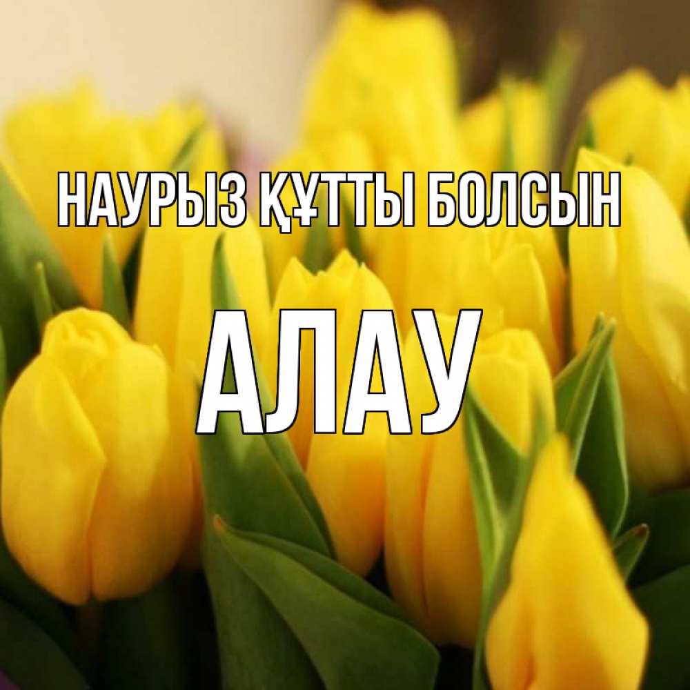 Күн сайын ашық хат с именем, Алау Наурыз құтты болсын цветы Онлайн тегін жүктеп алу тілектері бар керемет карта 