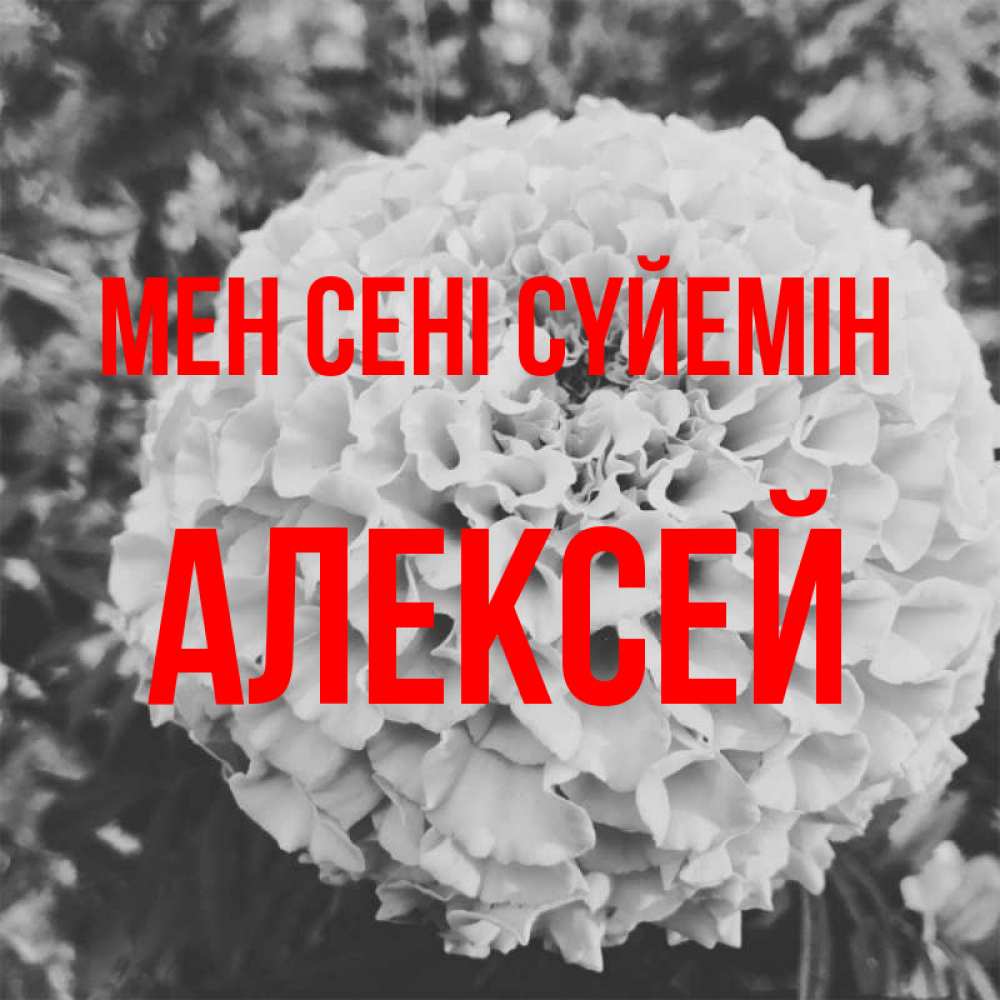 Күн сайын ашық хат с именем, Алексей Мен сені сүйемін подпись Онлайн тегін жүктеп алу тілектері бар керемет карта 