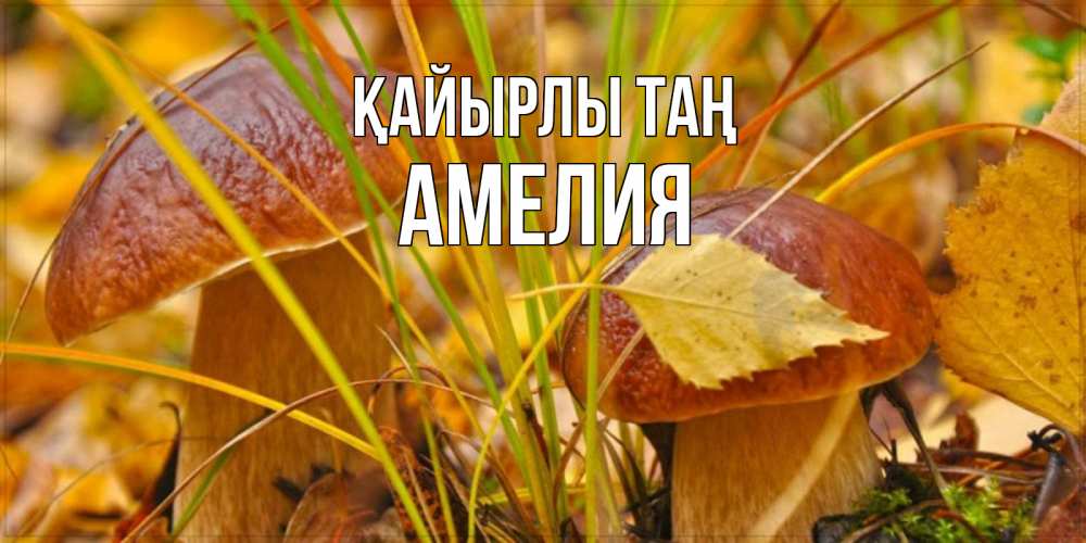 Күн сайын ашық хат с именем, Амелия Қайырлы таң осенние грибы Онлайн тегін жүктеп алу тілектері бар керемет карта 