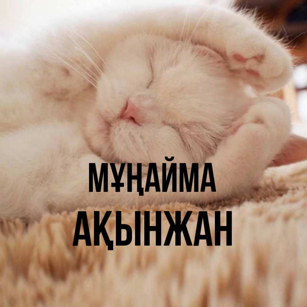 Күн сайын ашық хат с именем, Ақынжан Мұңайма Котенок спит Онлайн тегін жүктеп алу тілектері бар керемет карта 