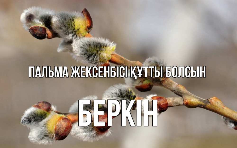 Күн сайын ашық хат с именем, Беркін Пальма жексенбісі құтты болсын Верба Онлайн тегін жүктеп алу тілектері бар керемет карта 