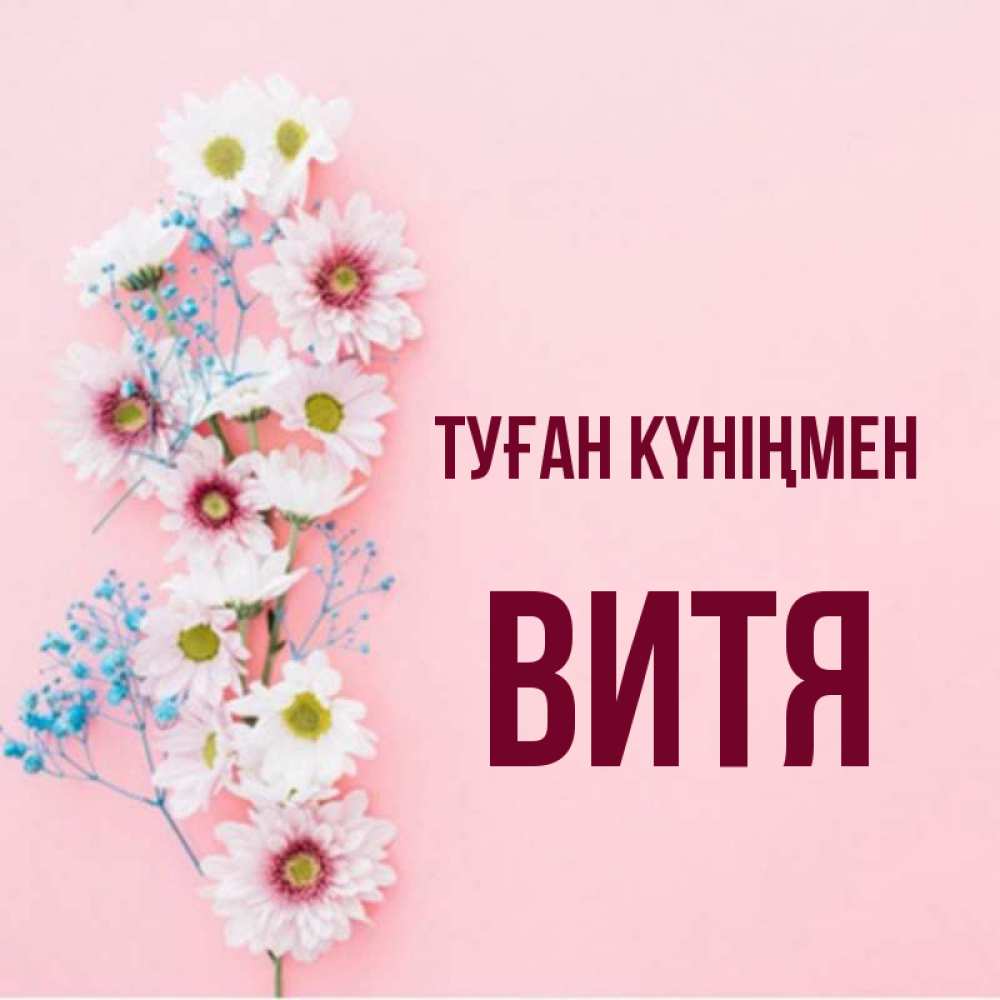 Күн сайын ашық хат с именем, Витя Туған күніңмен Родная моя с днем рождения тебя картинка с цветами белыми и голубыми Онлайн тегін жүктеп алу тілектері бар керемет карта 