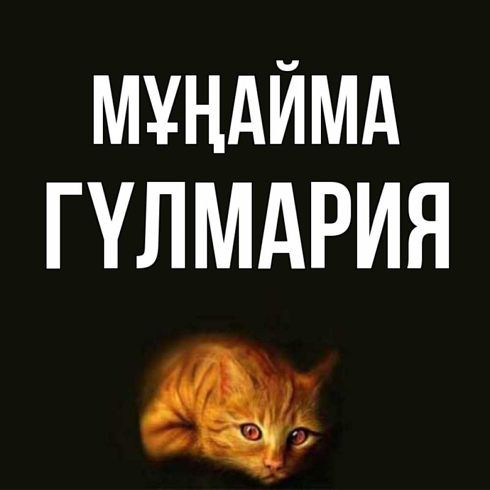 Күн сайын ашық хат с именем, ГҮЛМАРИЯ Мұңайма лежащий кот в темноте Онлайн тегін жүктеп алу тілектері бар керемет карта 