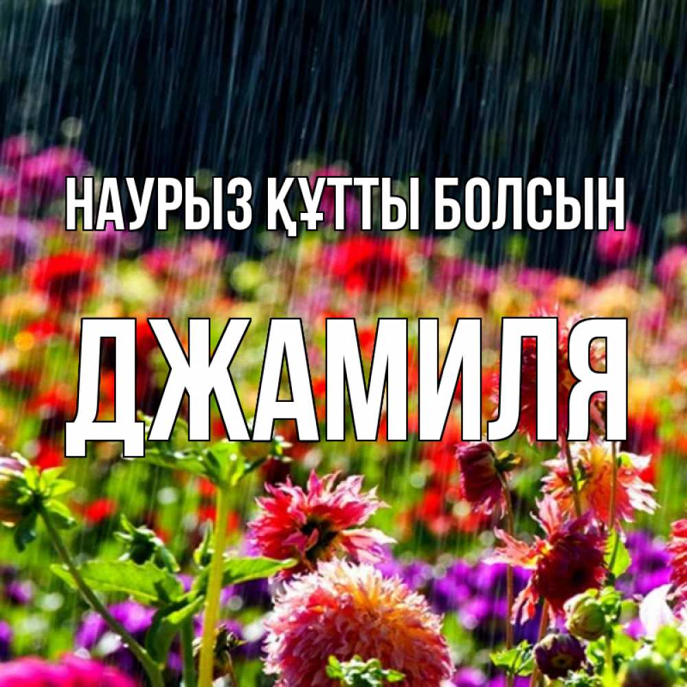 Күн сайын ашық хат с именем, Джамиля Наурыз құтты болсын цветы под дождиком к наурызу Онлайн тегін жүктеп алу тілектері бар керемет карта 