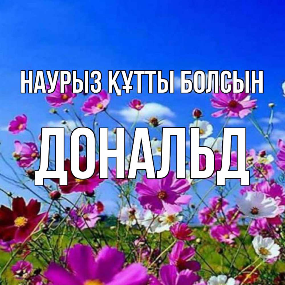 Күн сайын ашық хат с именем, Дональд Наурыз құтты болсын цветы Онлайн тегін жүктеп алу тілектері бар керемет карта 