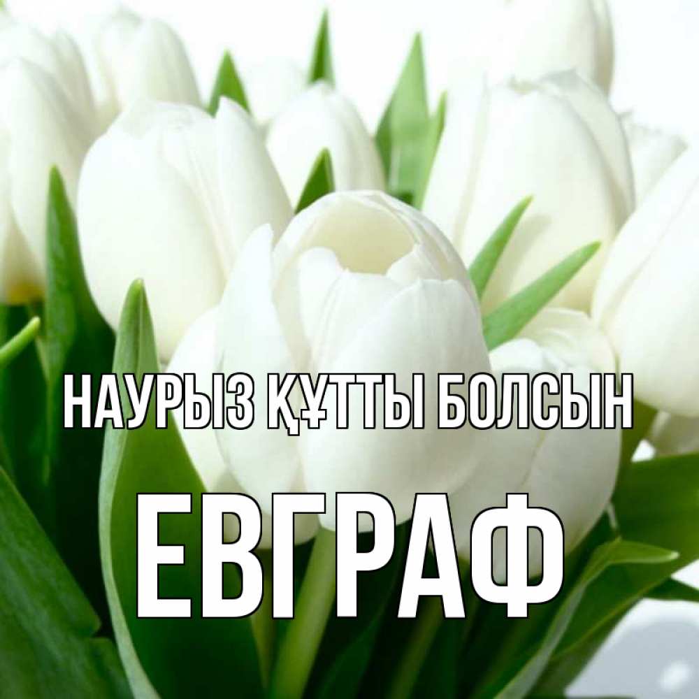 Күн сайын ашық хат с именем, Евграф Наурыз құтты болсын цветы Онлайн тегін жүктеп алу тілектері бар керемет карта 