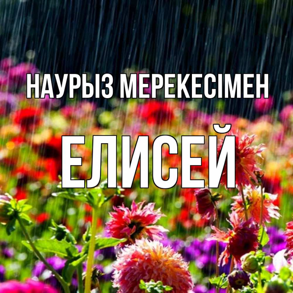 Күн сайын ашық хат с именем, Елисей Наурыз мерекесімен цветы под дождиком к международному женскому дню Онлайн тегін жүктеп алу тілектері бар керемет карта 