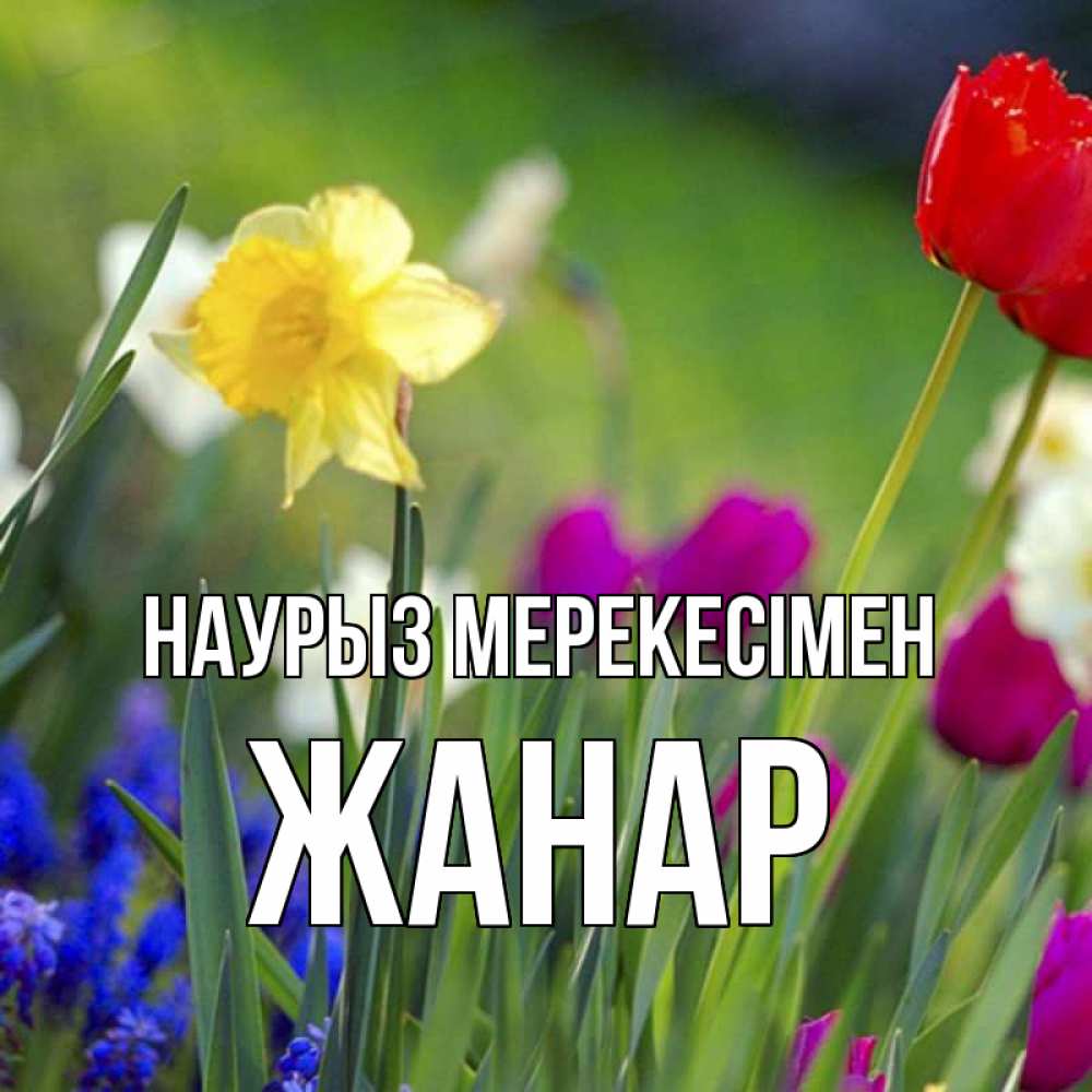 Күн сайын ашық хат с именем, ЖАНАР Наурыз мерекесімен праздник весны наурыз 3 Онлайн тегін жүктеп алу тілектері бар керемет карта 