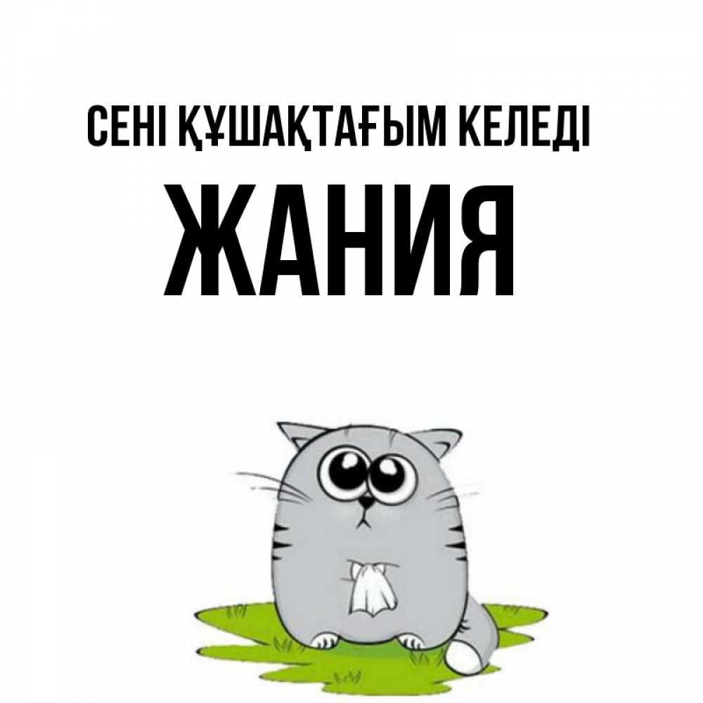 Күн сайын ашық хат с именем, ЖАНИЯ сені құшақтағым келеді котик теребит платочек сидя на травке Онлайн тегін жүктеп алу тілектері бар керемет карта 
