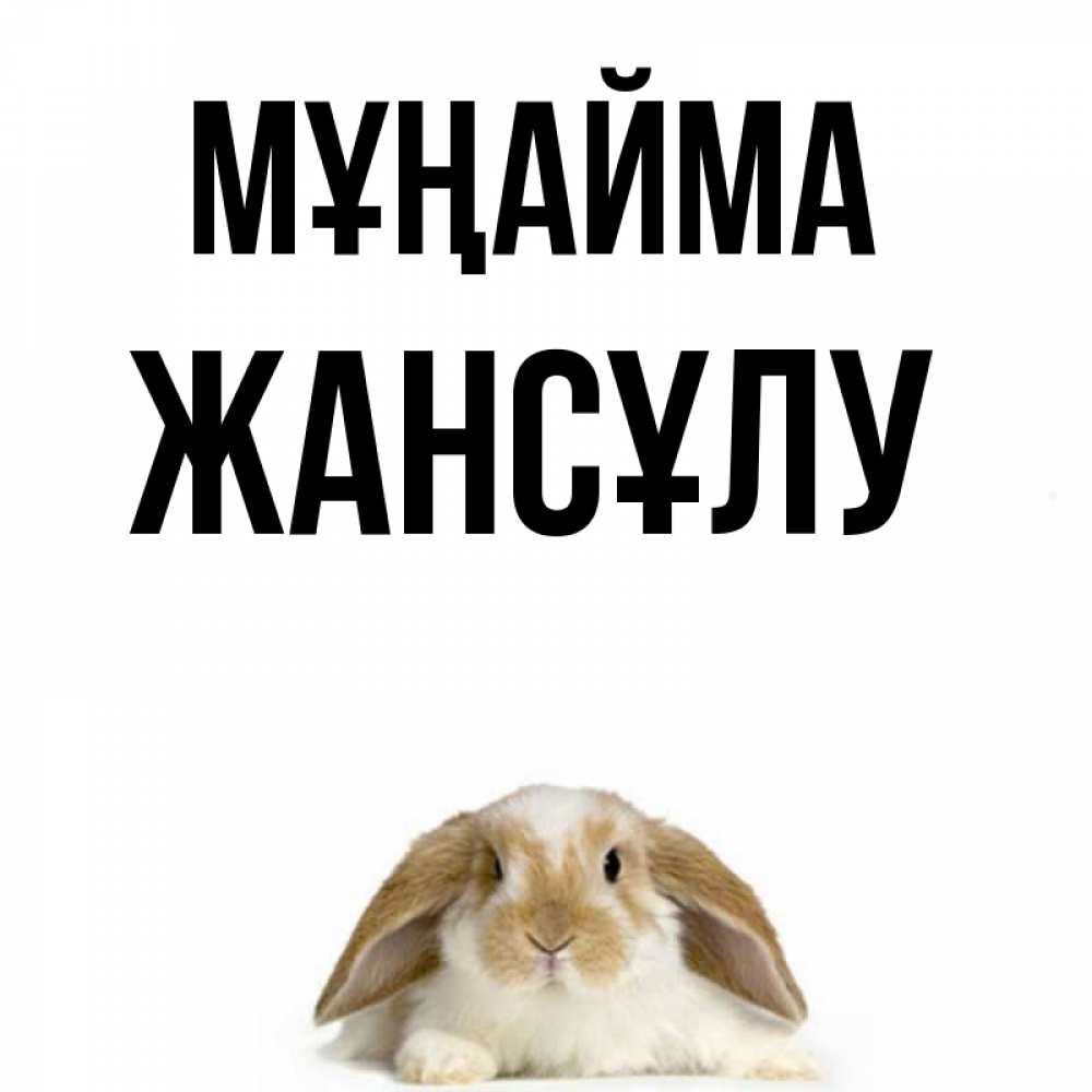 Күн сайын ашық хат с именем, Жансұлу Мұңайма коричнево белый заяц с большими ушками Онлайн тегін жүктеп алу тілектері бар керемет карта 