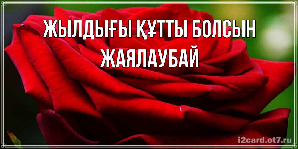 Күн сайын ашық хат с именем, Жаялаубай Жылдығы құтты болсын розочка очень красивая Онлайн тегін жүктеп алу тілектері бар керемет карта 