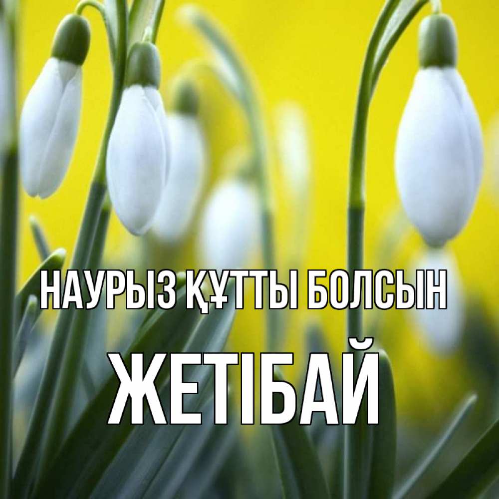 Күн сайын ашық хат с именем, Жетібай Наурыз құтты болсын весенние цветы Онлайн тегін жүктеп алу тілектері бар керемет карта 