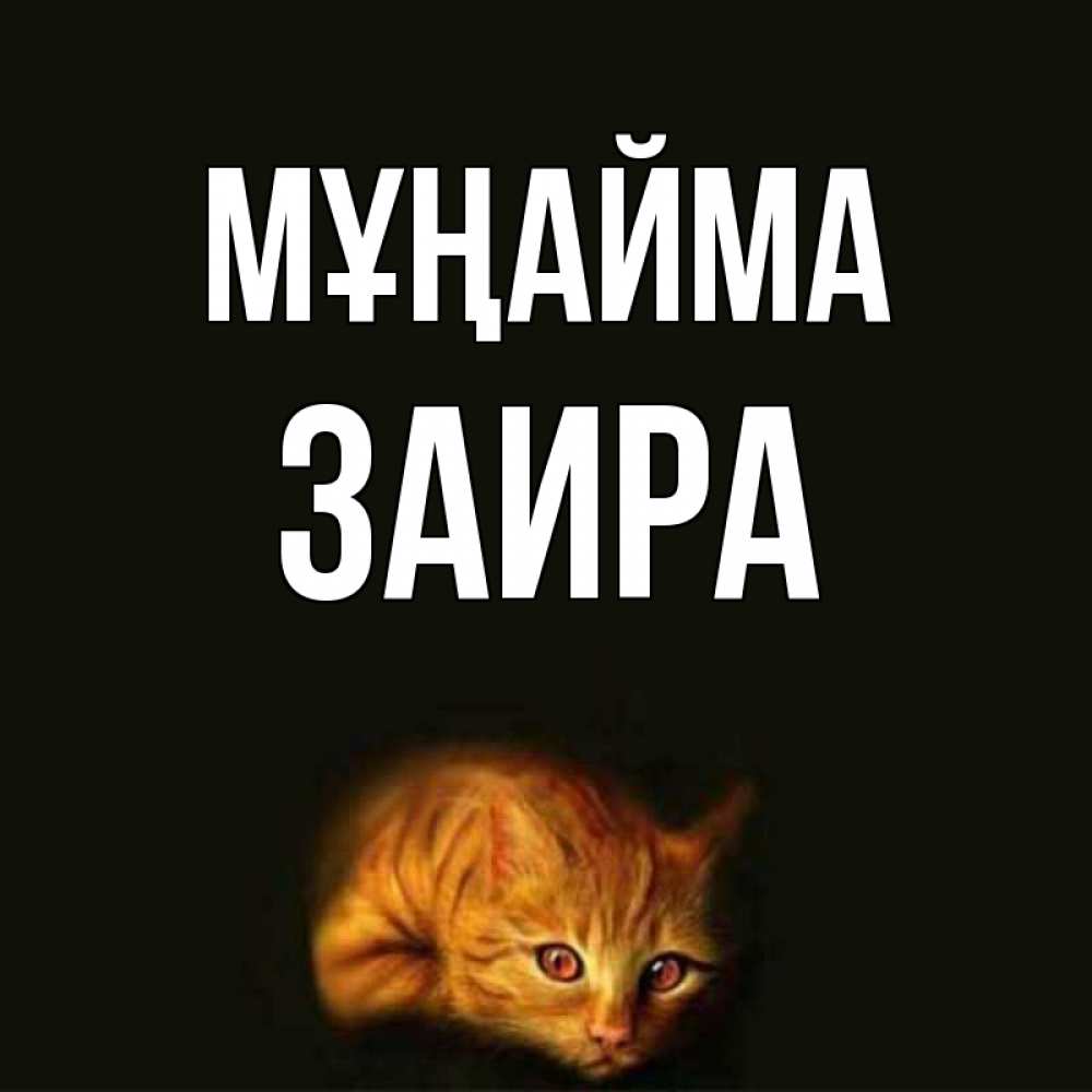Күн сайын ашық хат с именем, Заира Мұңайма лежащий кот в темноте Онлайн тегін жүктеп алу тілектері бар керемет карта 