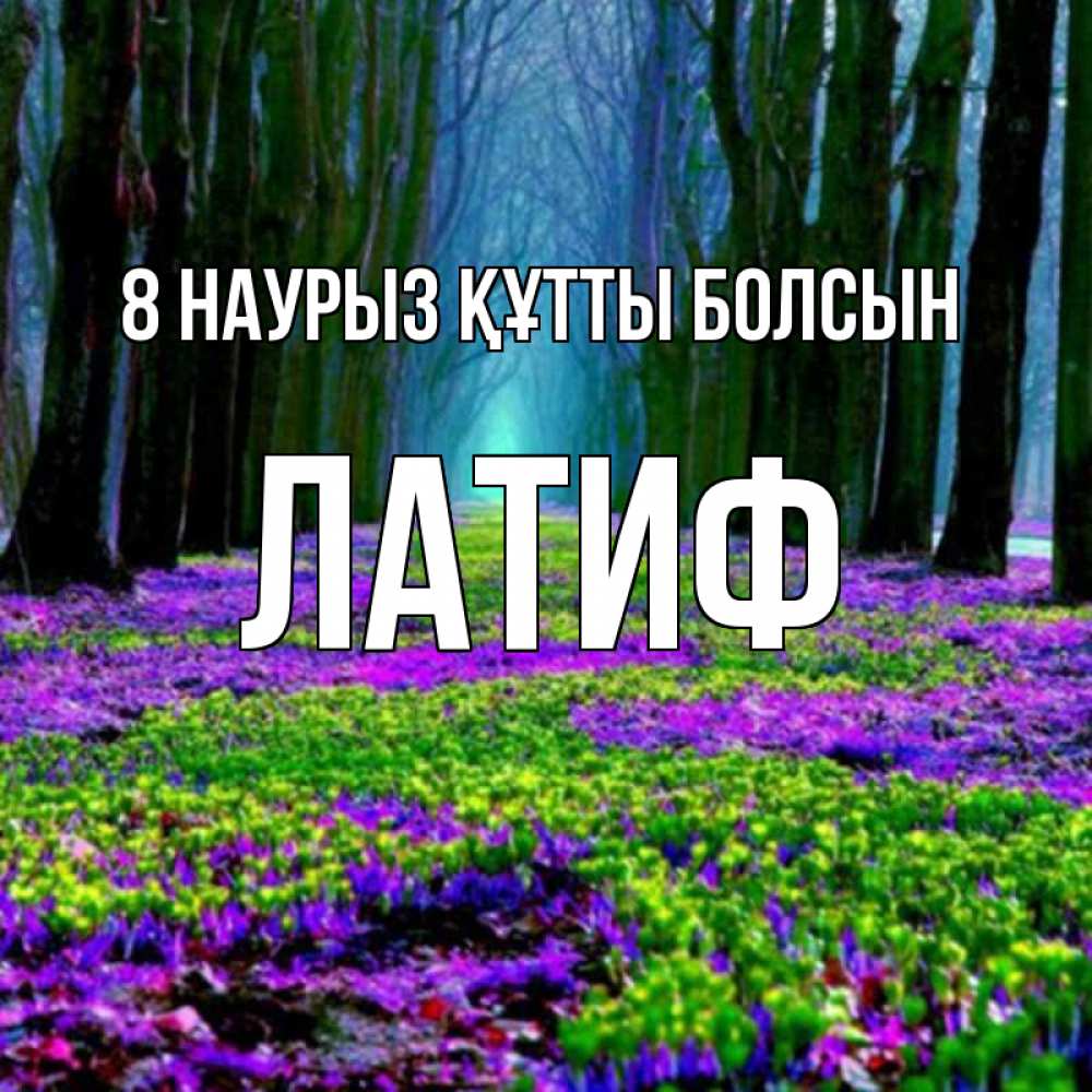Күн сайын ашық хат с именем, ЛАТИФ 8 наурыз құтты болсын фиолетовые цветы в лесу 1 Онлайн тегін жүктеп алу тілектері бар керемет карта 